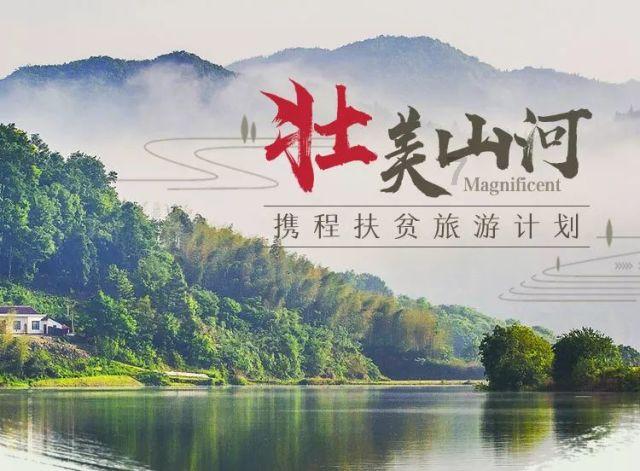 百亩蔬菜喜丰收 助力村集体经济发展