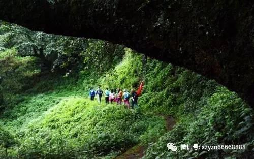 农畜山羊逃脱