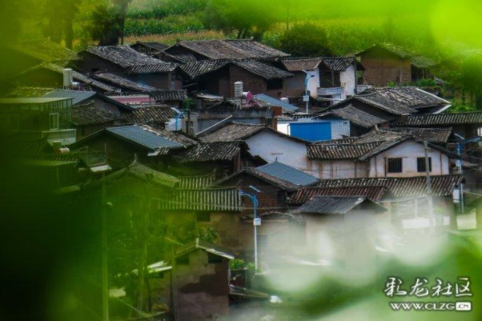 迷雾求生