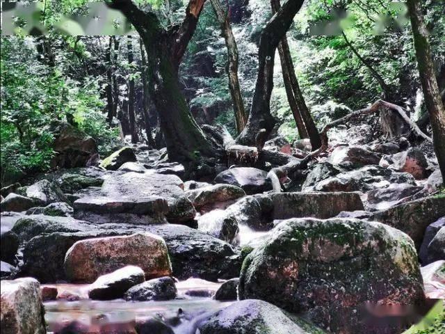 非全日制研究生签订定向协议后辞职游戏画面